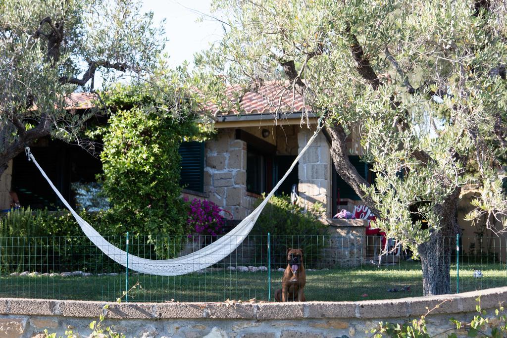 Il Borgo Centro Vacanze Гуардистало Екстериор снимка